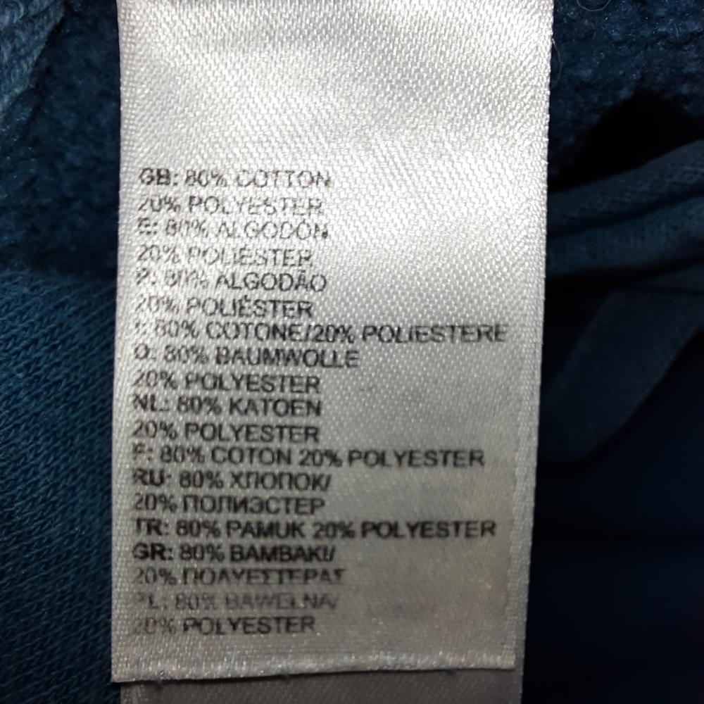 The North Face Blue Graphic Pull-over Hoodie SZ L - Picture 7 of 11